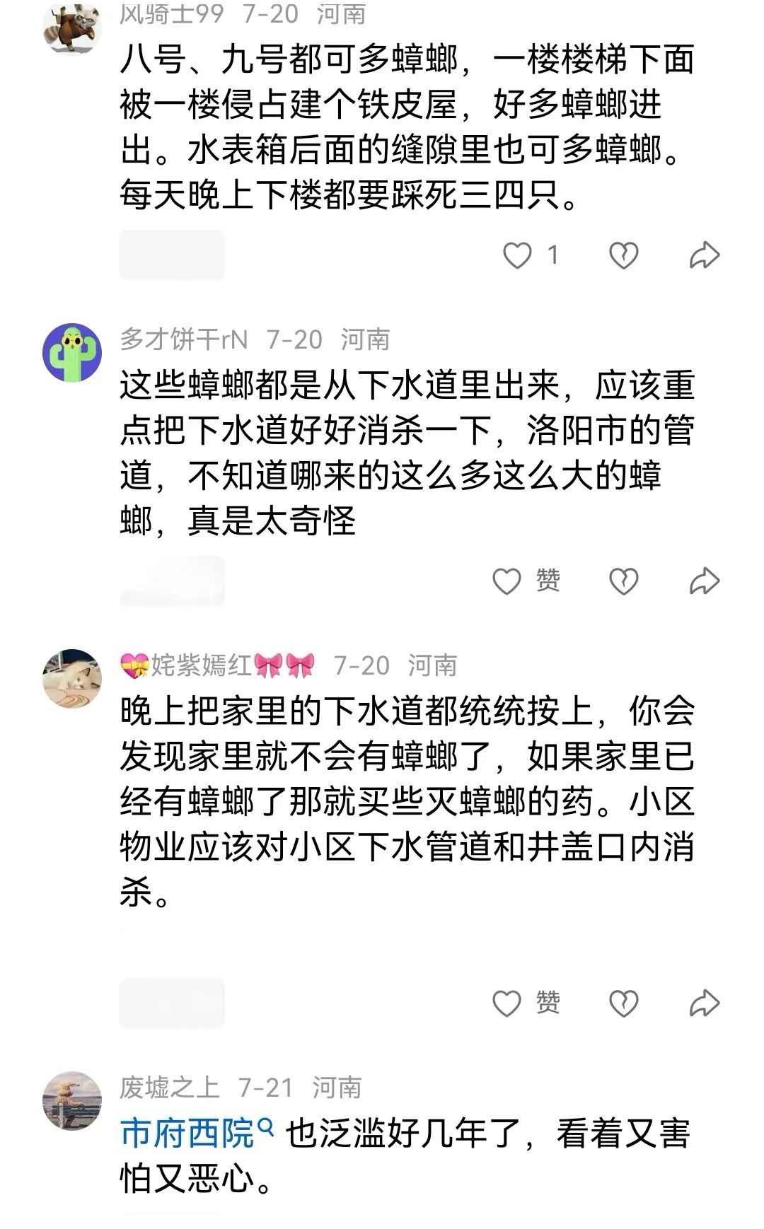 河南现南方大蟑螂