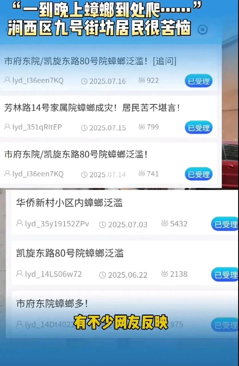 洛阳首次大面积出现“樱桃红蟑螂”，涉事责任方须被严肃追责