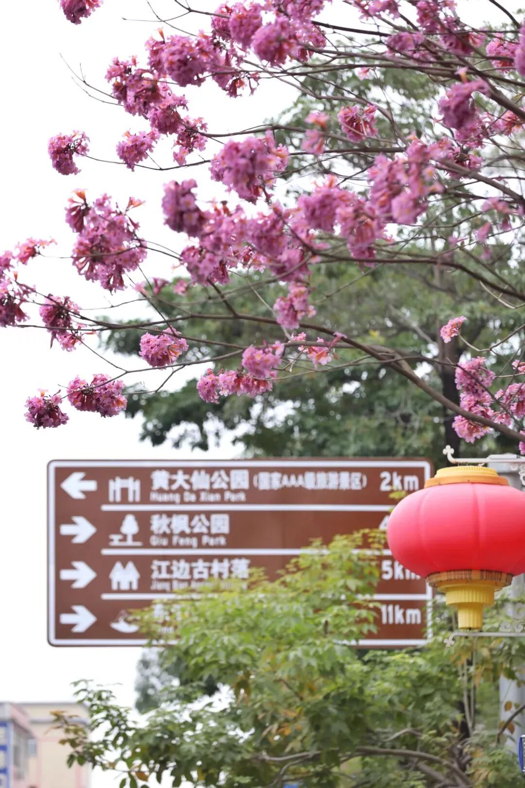 微信图片_20230227100241.jpg