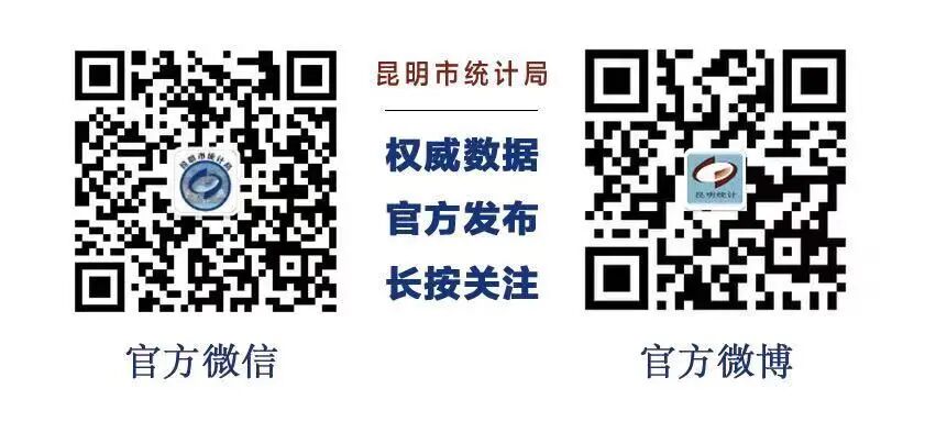 昆明统计(微信)