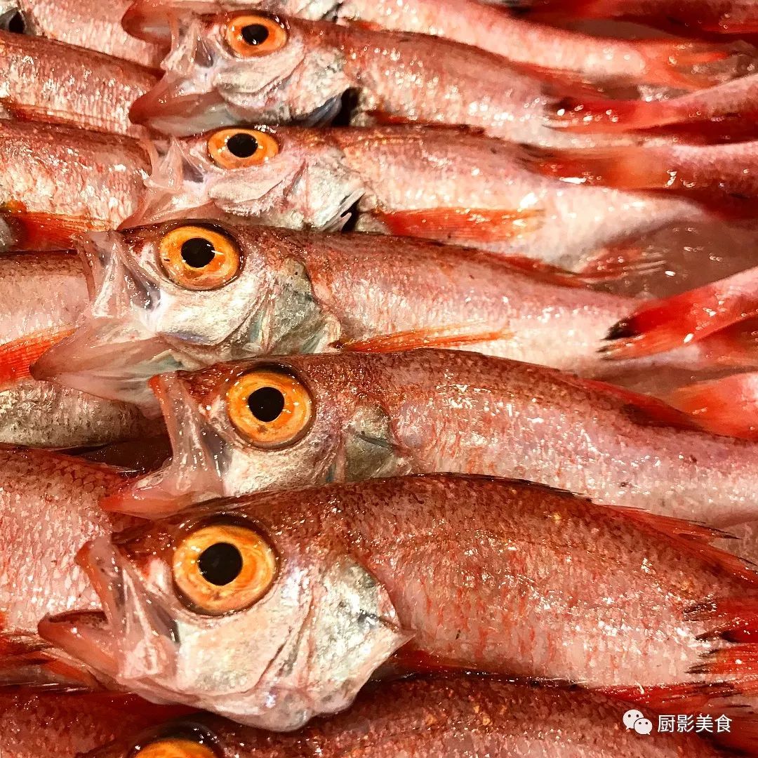 冬季顶级日料鱼类大赏 厨影美食 微信公众号文章阅读 Wemp