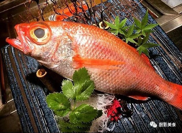 冬季顶级日料鱼类大赏 厨影美食 微信公众号文章阅读 Wemp