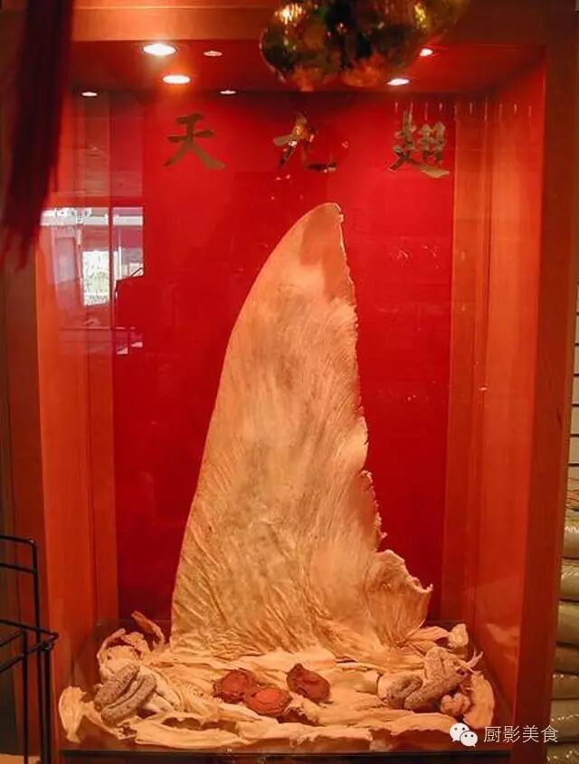 天九翅来自两种体积庞大的鲨鱼,古时人以为"神鱼",称为"天九".