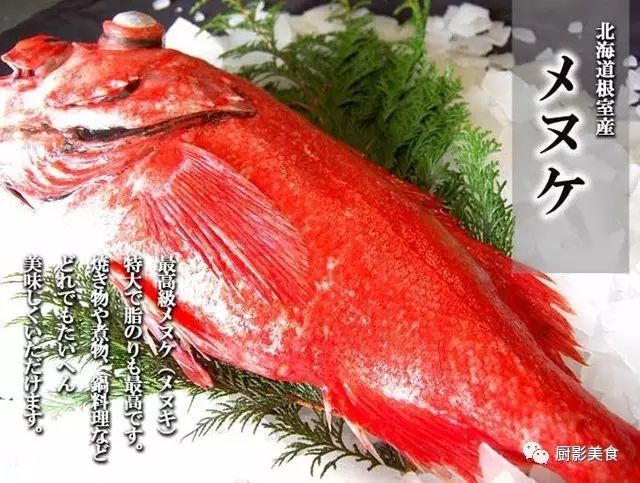 冬季顶级日料鱼类大赏 厨影美食 微信公众号文章阅读 Wemp