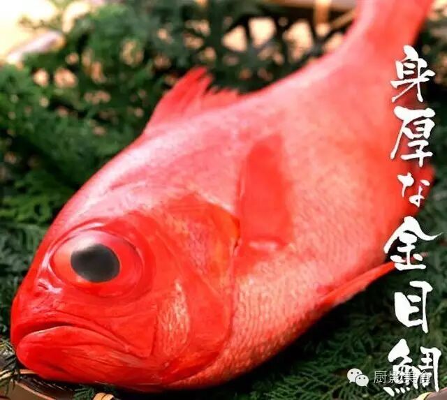 魚中之王 鯛魚的種類和料理介紹 收趣雲書籤 微文庫