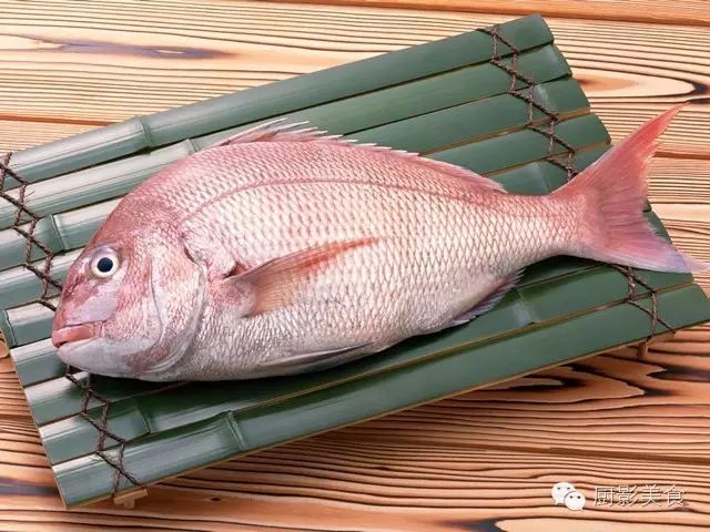 魚中之王 鯛魚的種類和料理介紹 收趣雲書籤 微文庫