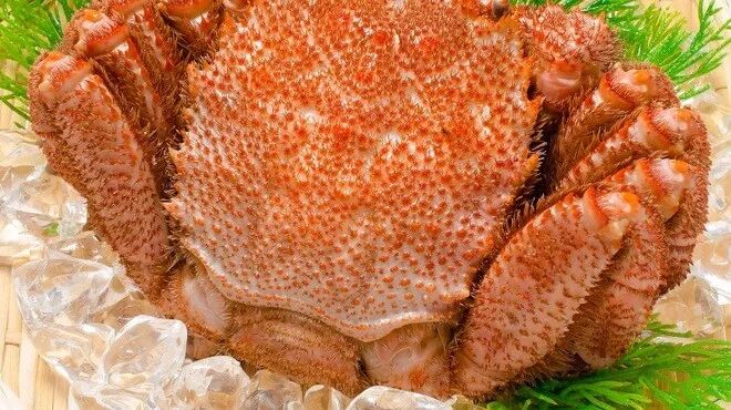 吃遍日本顶级美食 厨影美食 微信公众号文章阅读 Wemp