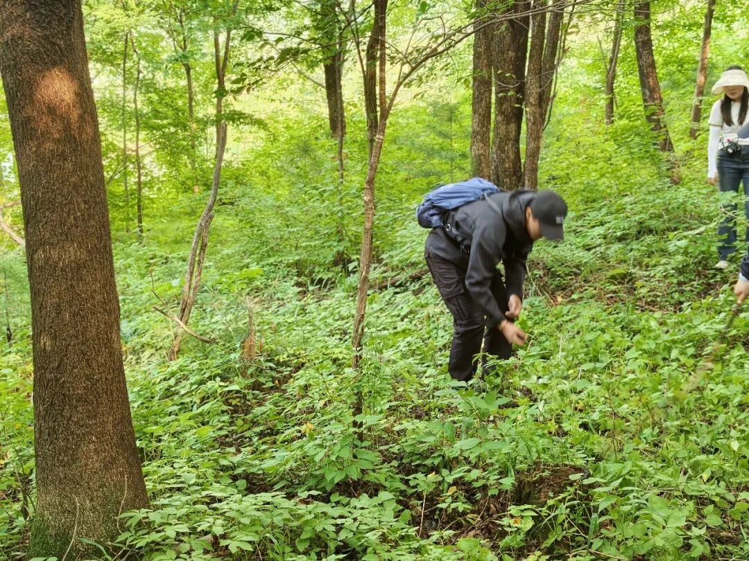 北大湖Club Med夏季一价全包避暑套餐 582元起每人每晚亲子度假省心游