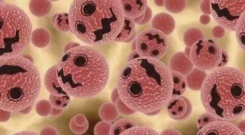 在欧美国家，肽已经作为“肿瘤治疗”的规定产品