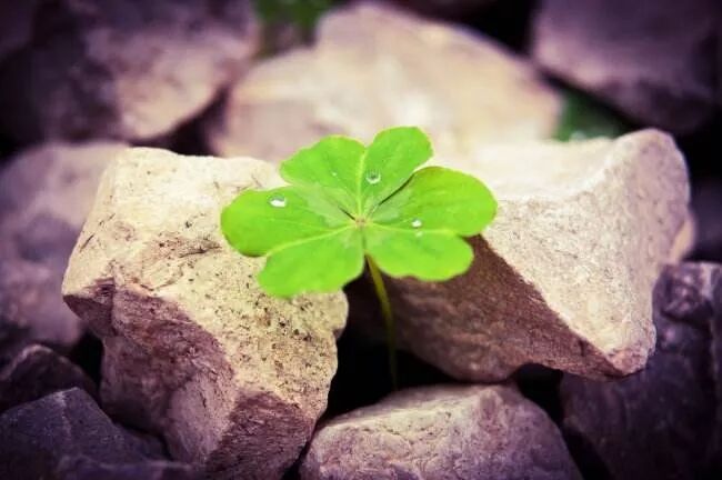 640?wx_fmt=jpeg&tp=webp&wxfrom=5&wx_lazy=1&wx_co=1