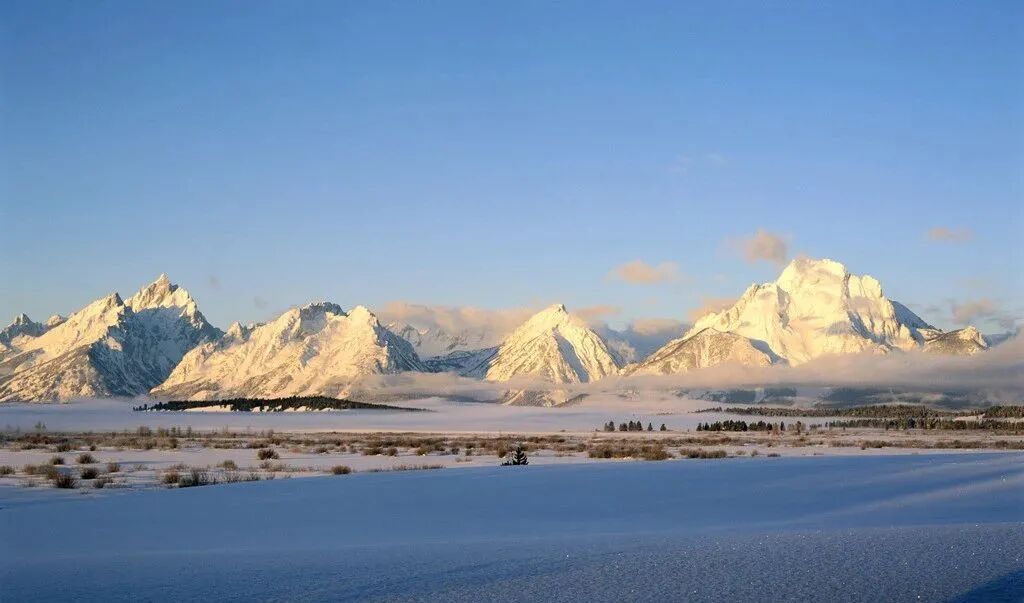 640?wx_fmt=jpeg&tp=webp&wxfrom=5&wx_lazy=1&wx_co=1