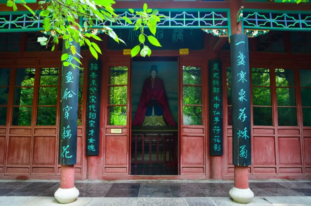 济南大明湖藕神祠蜡梅花开赏花你还需要了解这些