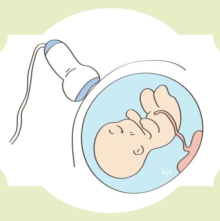 新生儿从诞生起，“初来乍到”历经磨难，家人要深爱他