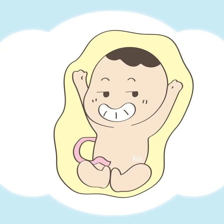 孕期饮食要注意，这些食物不能错过，对母体胎儿发育都有好处