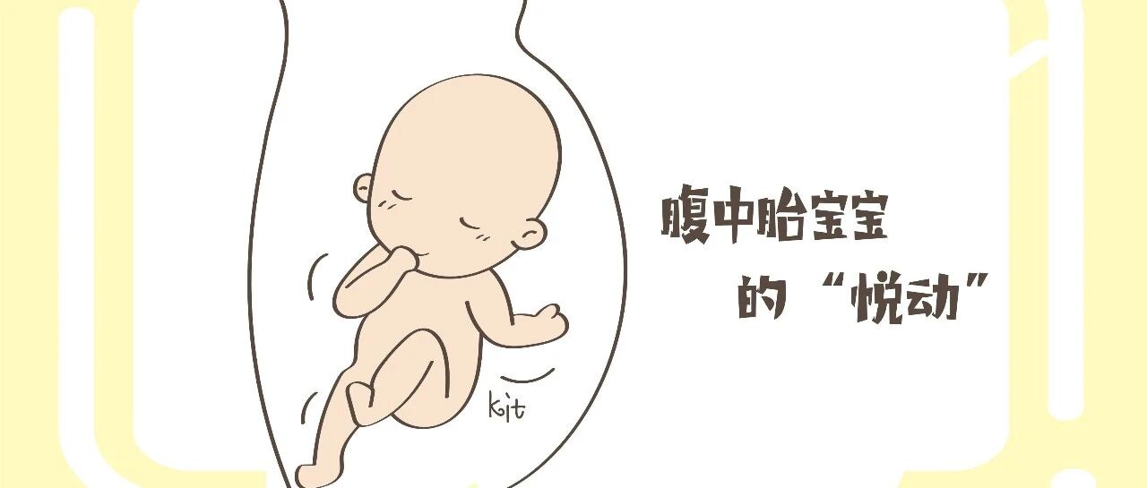 孕妈感觉到胎儿的跳动，这可不是淘气，而是在忙“大事情”