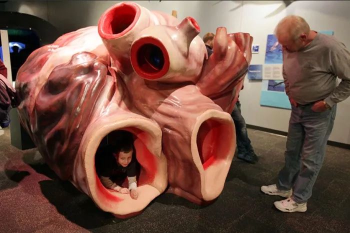 世间有蓝鲸的生物吗_世间有蓝鲸的生物吗_世间有蓝鲸的生物吗