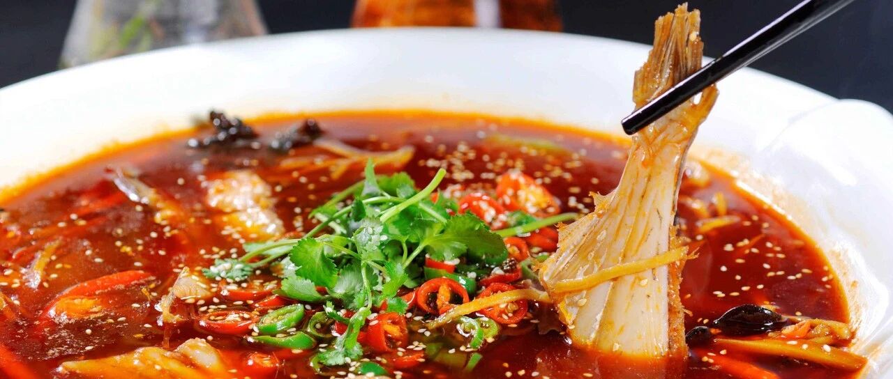 耗儿鱼：真不知道上辈子欠了重庆人什么！