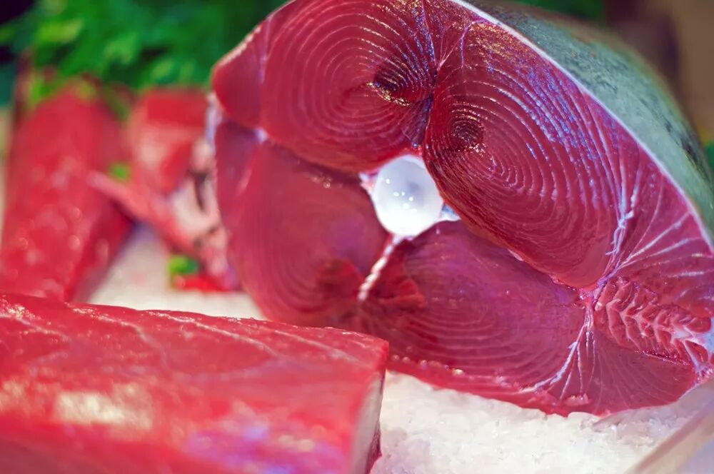 因为肌肉中肌红蛋白的平均含量较高而呈现深红或粉红色,同样的,鲣鱼