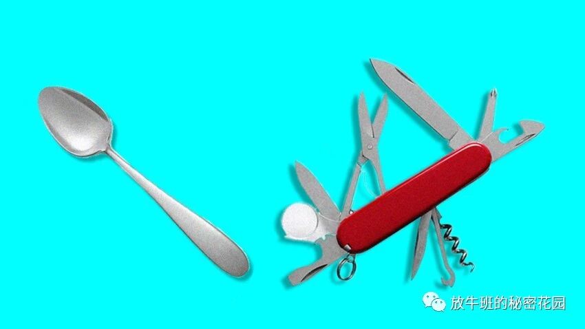 《杨过式通才与令狐冲式专才更适合待在哪儿？这不仅取决于公司调性》