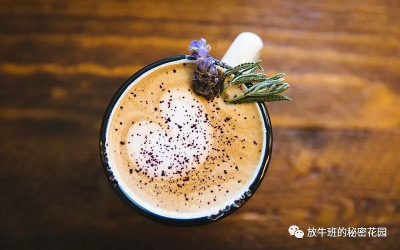 《瞧不上廉价咖啡？没准儿它能让你更快乐》