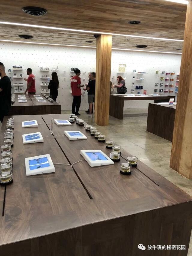 《纽约第五大道大变脸，带给传统百货零售业的除了震撼还有什么？》