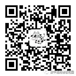 《谁说“熊”是孩子的标签？“熊大人”大有人在！》