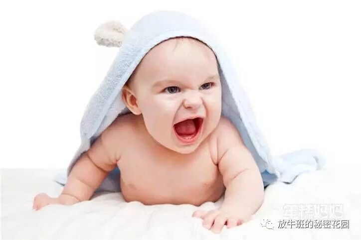 《谁说“熊”是孩子的标签？“熊大人”大有人在！》