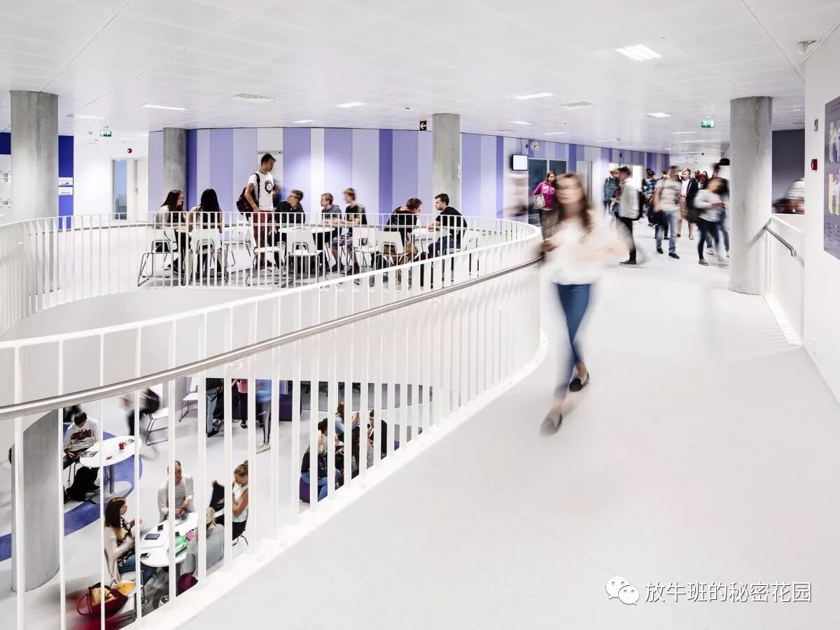 《芬兰教育成功的秘密——美国人为啥学不会》