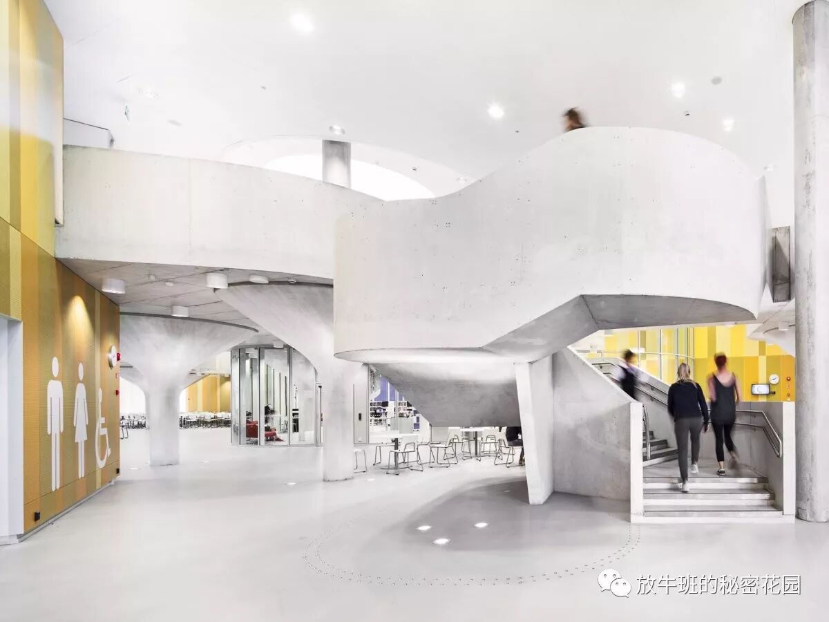 《芬兰教育成功的秘密——美国人为啥学不会》