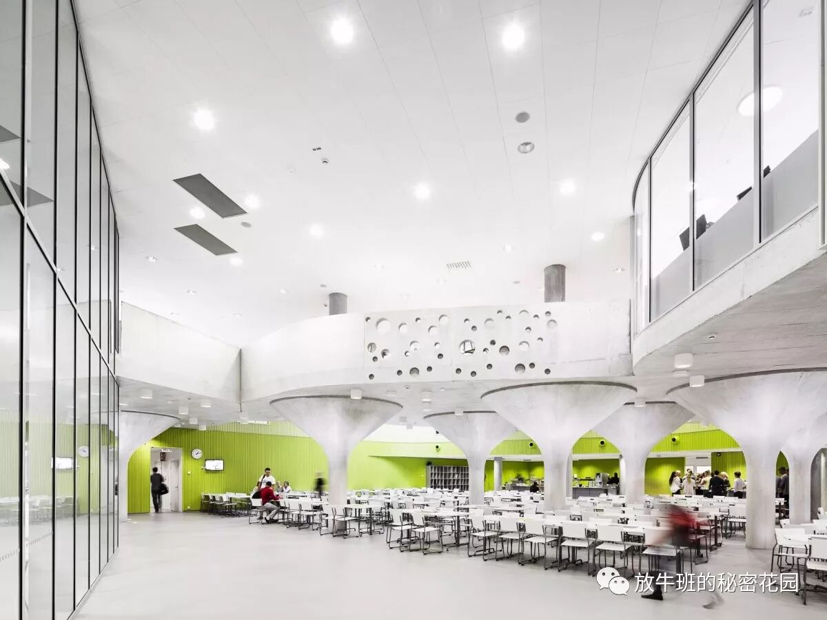 《芬兰教育成功的秘密——美国人为啥学不会》