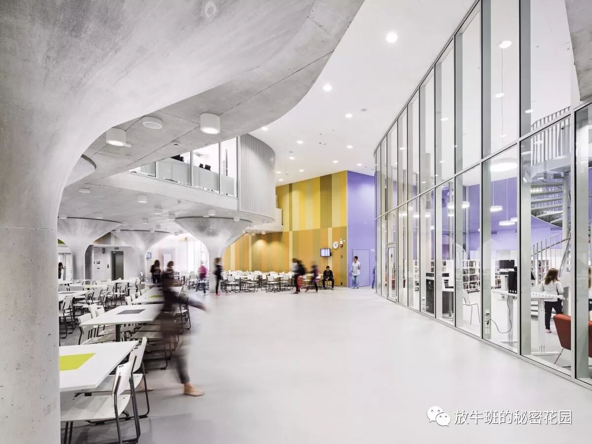 《芬兰教育成功的秘密——美国人为啥学不会》