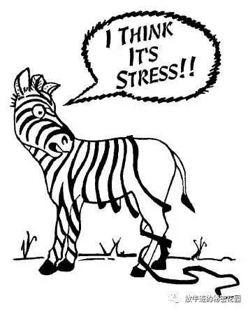 《工作生活令你压力山大？你应当构造自己的弹性适应力》