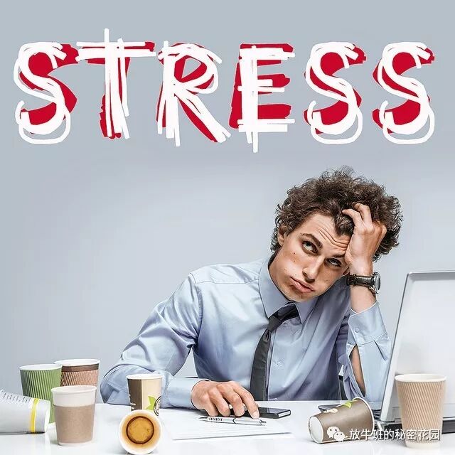《工作生活令你压力山大？你应当构造自己的弹性适应力》