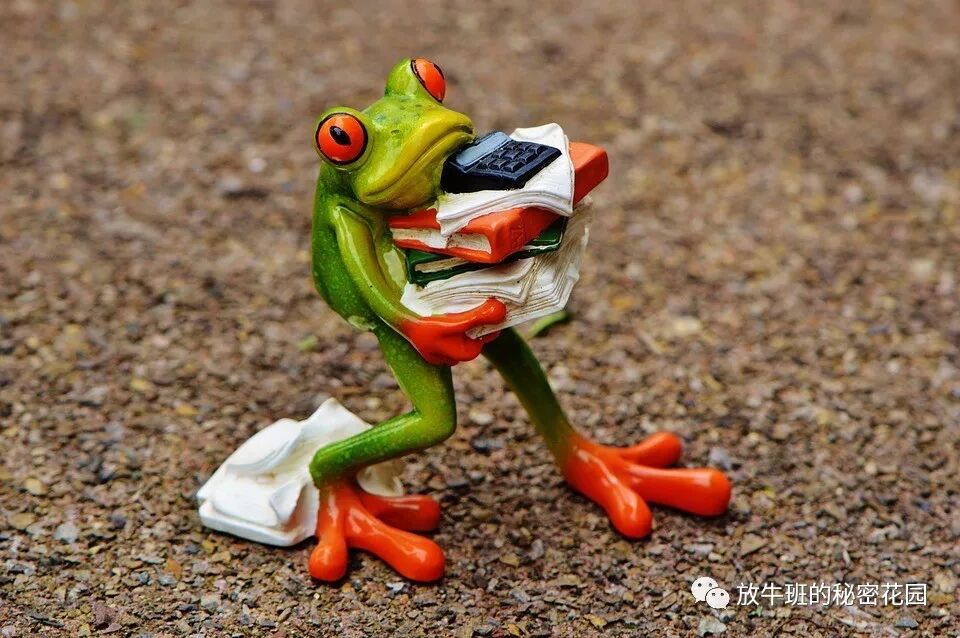 《工作生活令你压力山大？你应当构造自己的弹性适应力》