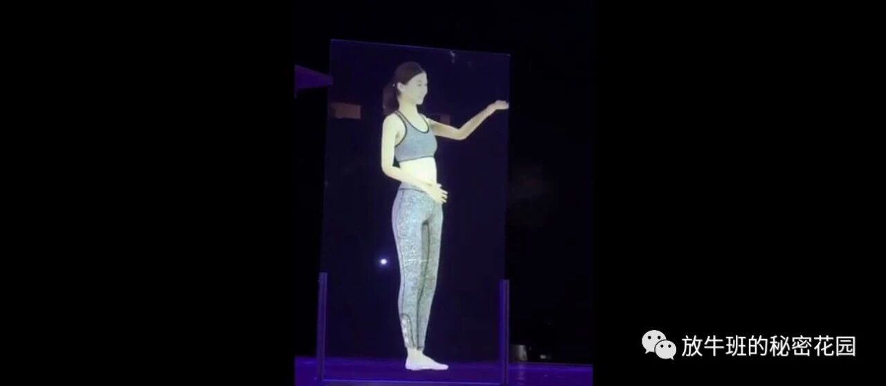 《你要的二次元助理来啦：2019CES展全息投影成亮点，中国公司出彩》