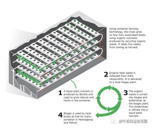 《宜家打造集装箱“菜地”：可持续城市农业不远了？》