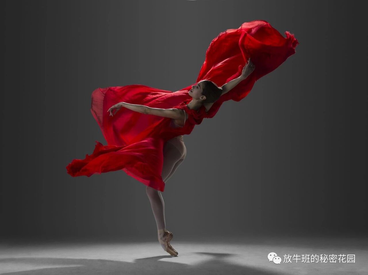 《有激情者事竟成？事业能不管回报？五项最新研究成果给你全新认识》