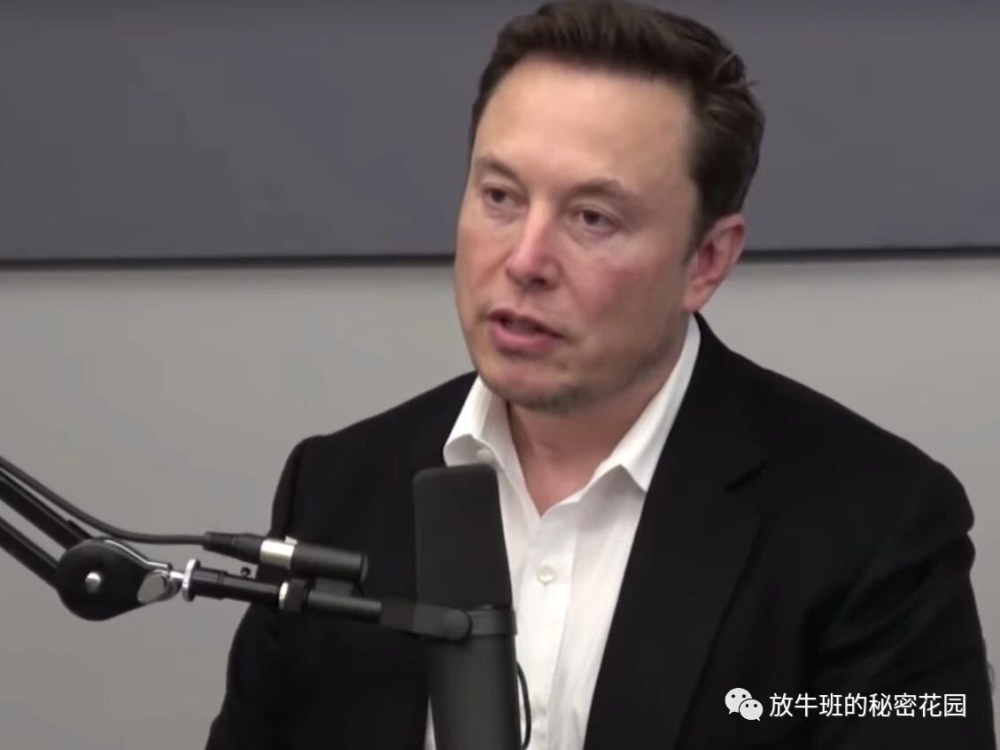 《马斯克称Neuralink大脑芯片将治愈自闭症》