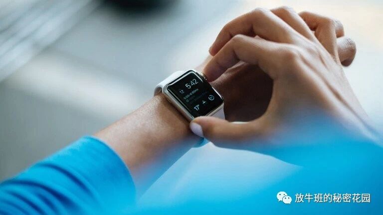 《马斯克称Neuralink大脑芯片将治愈自闭症》