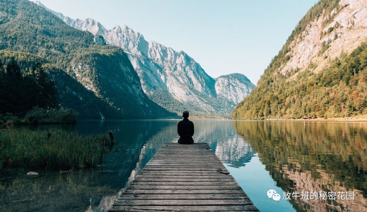 《“棉花糖实验”研究表明：别信直觉，自我怀疑才是成功的王道》