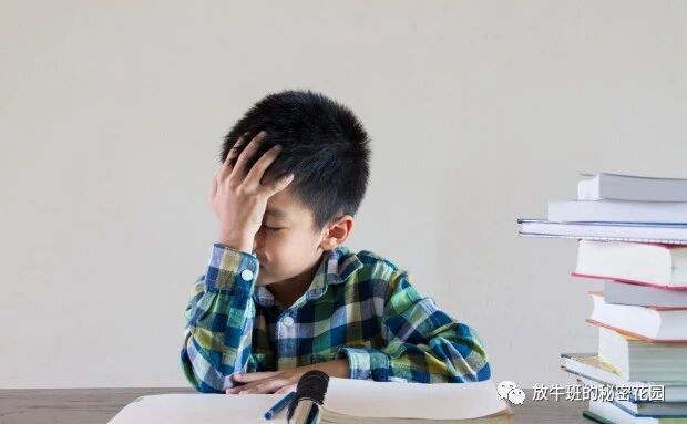 《如果说创业和工作要付出代价，那代价不该是工作与家庭的失衡》