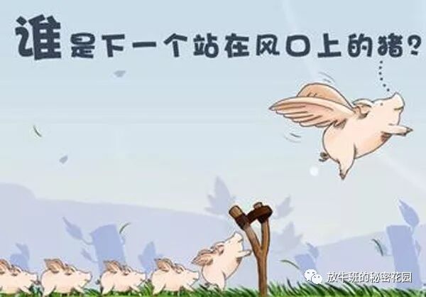 《新年致辞：2018，像猪一样飞翔！》