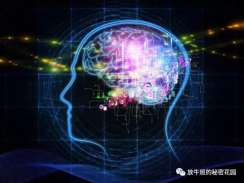 《新年致辞：2018，像猪一样飞翔！》