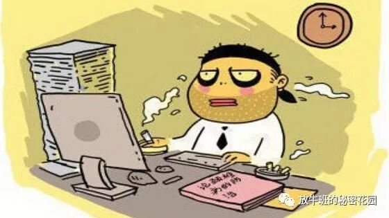 《新年致辞：2018，像猪一样飞翔！》