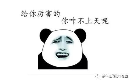 《像选对象一样选学校和专业吧，骚年！》