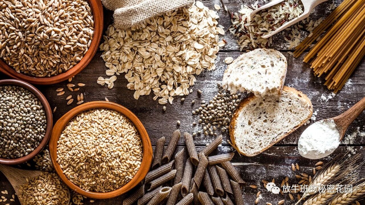 《《谷物大脑》作者再次发出警告：高碳饮食可能导致大脑炎症》