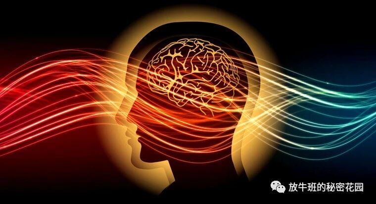 《学会驾驭“心流”，让自己总能得到缪斯女神的眷顾》