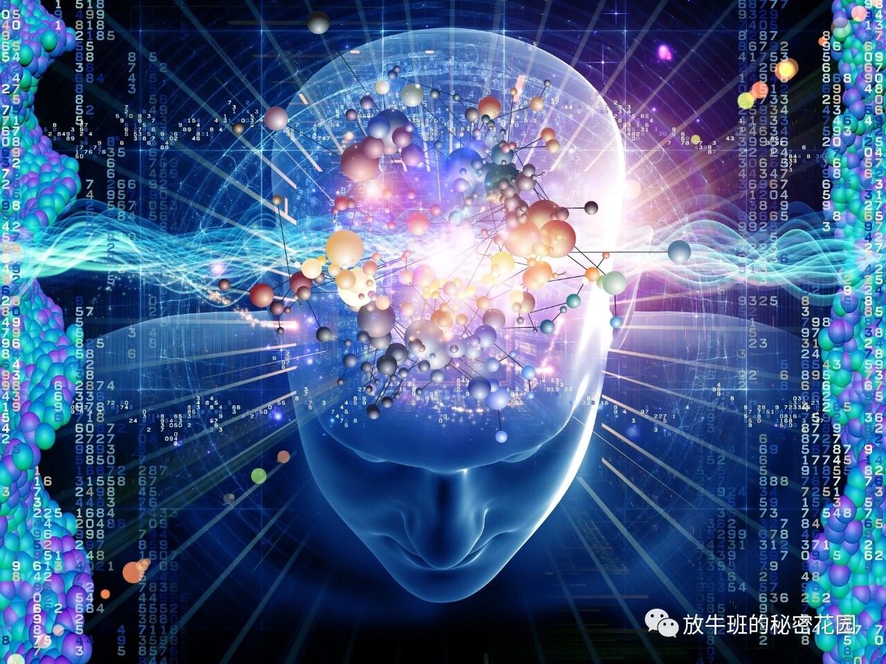 《学会驾驭“心流”，让自己总能得到缪斯女神的眷顾》