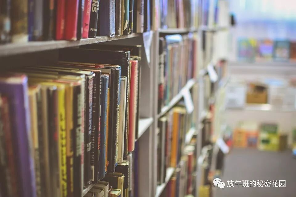 《你能胜任吗？证明给我看——美国新素质教育（一）》
