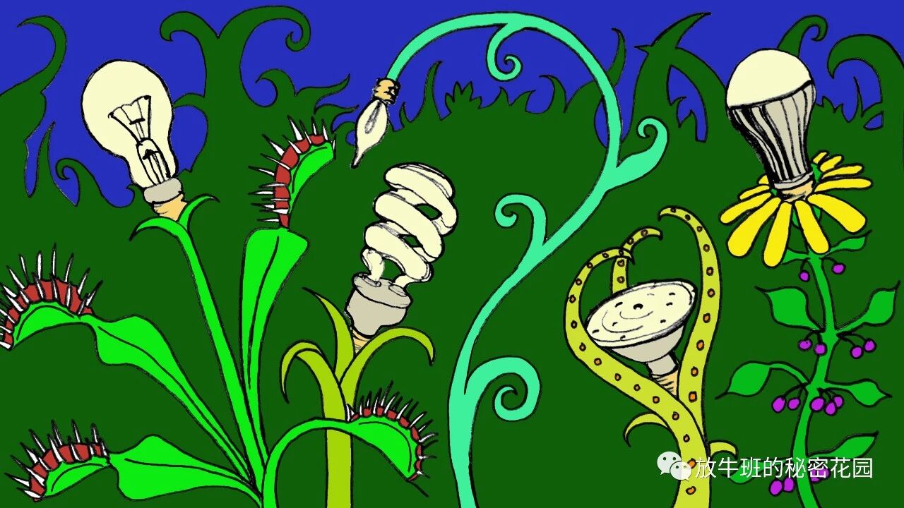 《创意非天生，做好这几点，你的创造力就能招之即来》